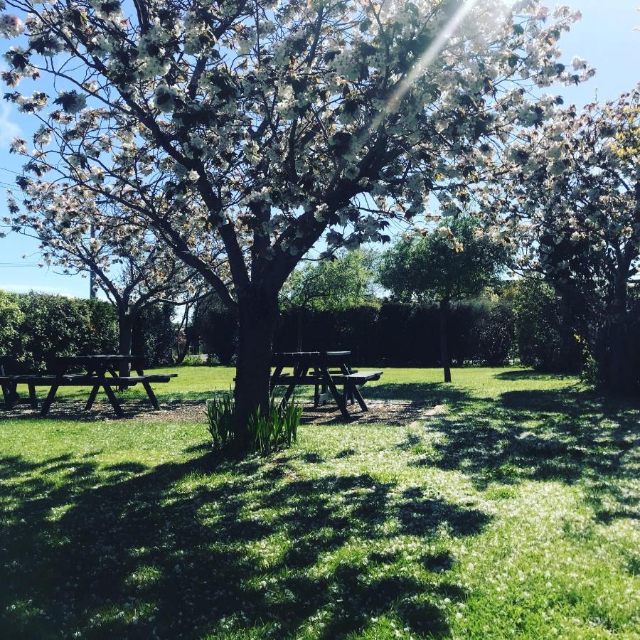 Pinot Villas Martinborough Εξωτερικό φωτογραφία