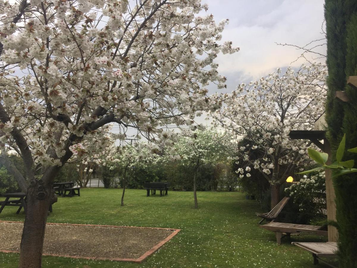 Pinot Villas Martinborough Εξωτερικό φωτογραφία
