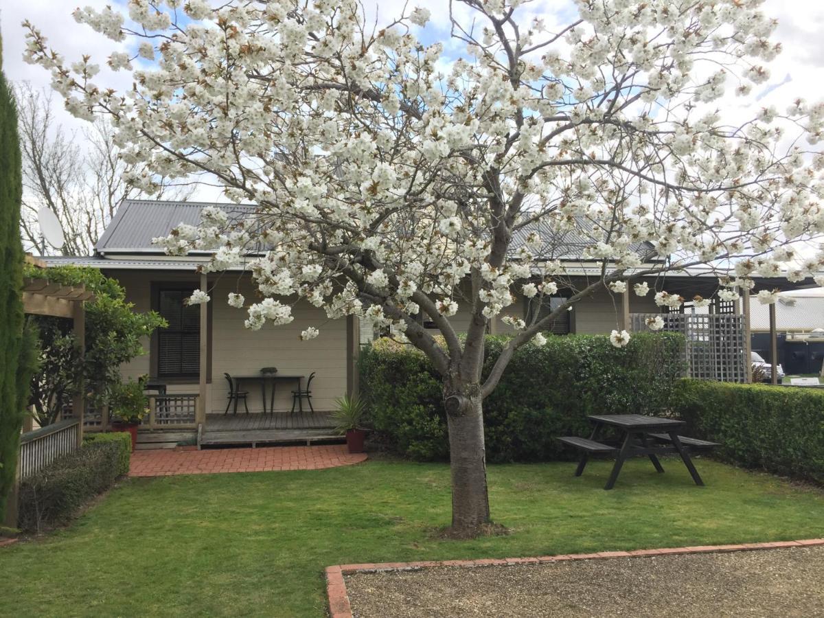 Pinot Villas Martinborough Εξωτερικό φωτογραφία