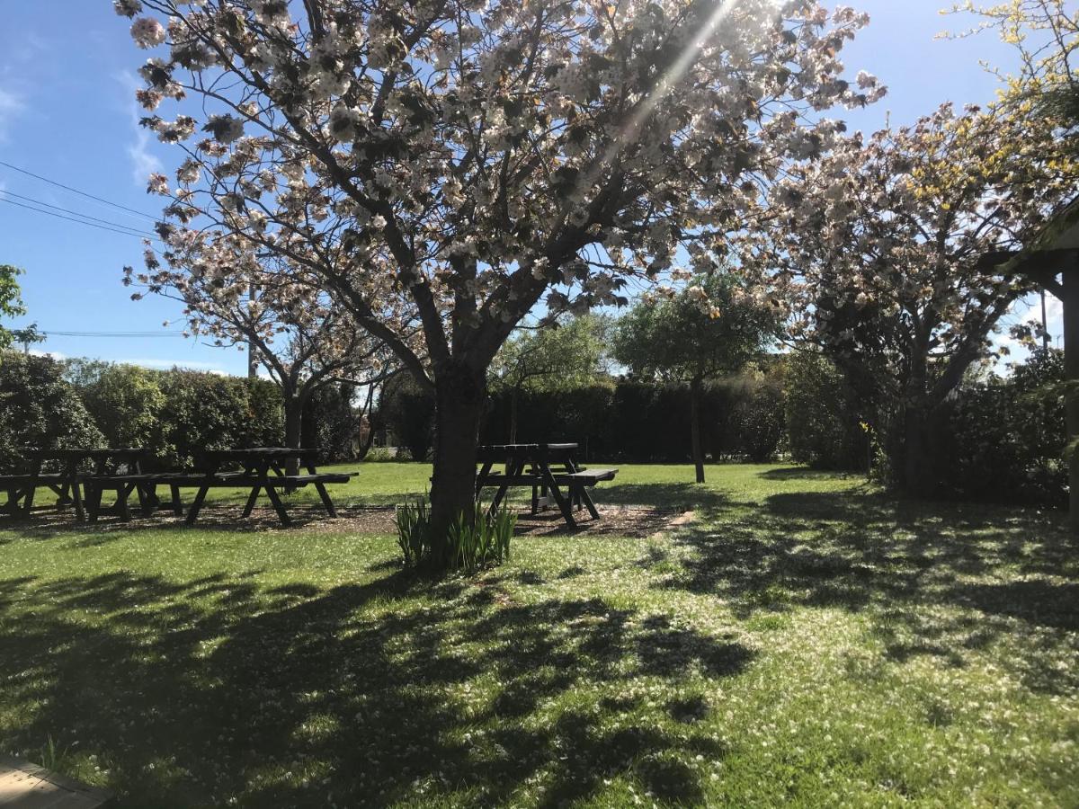 Pinot Villas Martinborough Εξωτερικό φωτογραφία